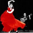 flamenco-1